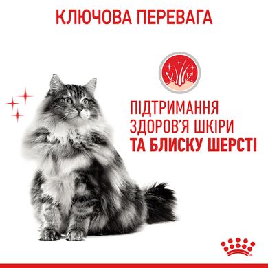 Упаковка вологого корму для котів Royal Canin Hair&Skin з мясом та рибою для здоров'я шкіри та краси шерсті котів (шматочки в соусе) 85 г