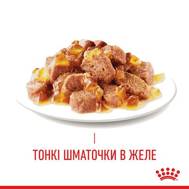 Упаковка вологого корму для котів Royal Canin Hair&Skin з мясом та рибою для здоров'я шкіри та краси шерсті котів (шматочки в соусе) 85 г