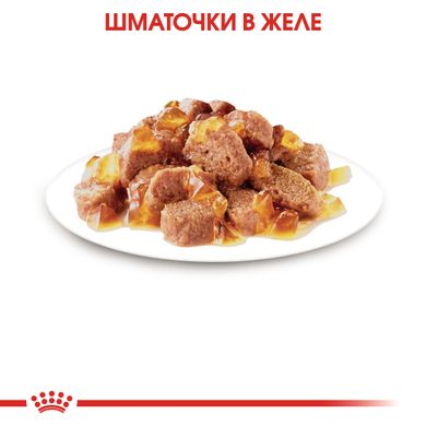 Упаковка вологого корму для дорослих стерилізованих котів ROYAL CANIN STERILISED IN JELLY 85 г x 12 шт.