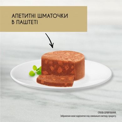 Вологий корм для дорослих котів Purina Gourmet Gold шматочки у паштеті з кроликом 85 г