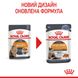 Упаковка вологого корму для котів Royal Canin Hair&Skin з мясом та рибою для здоров'я шкіри та краси шерсті котів (шматочки в соусе) 85 г