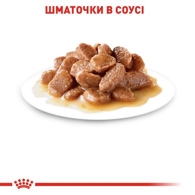 Упаковка вологого корму для дорослих котів ROYAL CANIN INTENSE BEAUTY IN GRAVY 85 г x 12 шт.