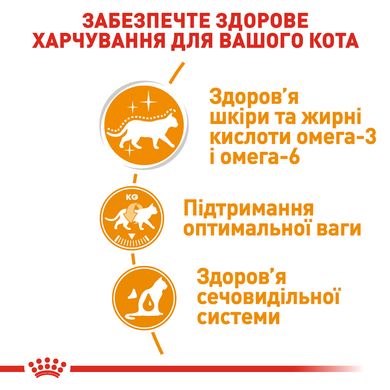 Упаковка вологого корму для дорослих котів ROYAL CANIN INTENSE BEAUTY IN GRAVY 85 г x 12 шт.