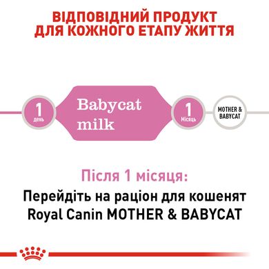 Замінник котячого молока Royal Canin Babycat Milk для кошенят від народження і до відлучення 0.3 кг