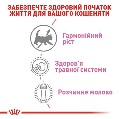 Замінник котячого молока Royal Canin Babycat Milk для кошенят від народження і до відлучення 0.3 кг