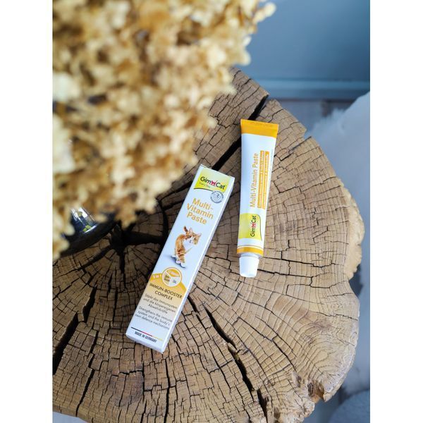 Вітаміни для котів GimCat Мультивітамінна паста Every Day Multi Vitamin, для імунітету, 50 г G-401423/421629 фото