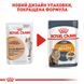 Упаковка вологого корму для дорослих котів ROYAL CANIN INTENSE BEAUTY IN GRAVY 85 г x 12 шт.