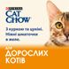 Вологий корм для дорослих котів CAT CHOW Adult шматочки в желе з куркою та цукіні 85 г