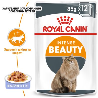 Упаковка вологого корму для дорослих котів ROYAL CANIN INTENSE BEAUTY IN JELLY 85 г x 12 шт.