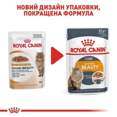 Упаковка вологого корму для дорослих котів ROYAL CANIN INTENSE BEAUTY IN JELLY 85 г x 12 шт.