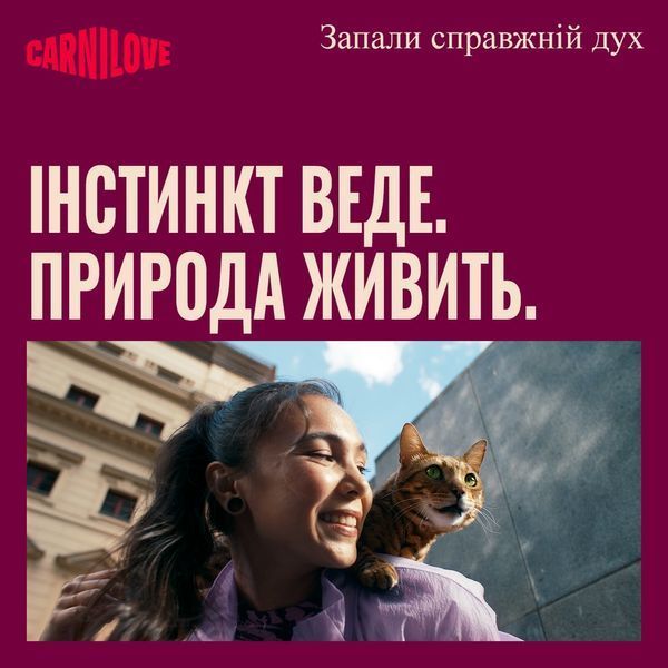 Корм вологий Carnilove Gravy Rabbit with Marigold Kitten для кошенят кролик і календула в соусі 85 г 101405 фото