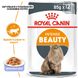 Упаковка вологого корму для дорослих котів ROYAL CANIN INTENSE BEAUTY IN JELLY 85 г x 12 шт.