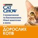 Вологий корм для дорослих котів CAT CHOW Adult шматочки в желе з яловичиною та баклажанами 85 г