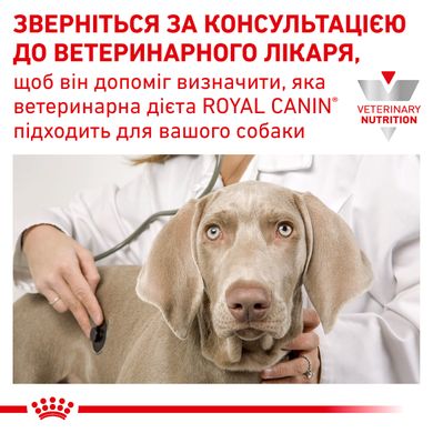 Сухой корм для взрослых собак ROYAL CANIN ANALLERGENIC DOG 3 кг