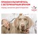 Сухой корм для собак Royal Canin Neutered Adult Medium Dogs 3,5 кг + 1 кг в подарок