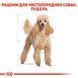 Сухий корм для собак Royal Canin POODLE ADULT 500 г R448522 фото 6