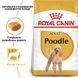 Сухий корм для собак Royal Canin POODLE ADULT 500 г R448522 фото 1