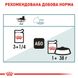 Упаковка вологого корму для дорослих котів ROYAL CANIN HAIRBALL CARE 85 г x 12 шт.