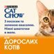 Вологий корм для дорослих котів CAT CHOW Adult шматочки в желе з лососем та зеленою квасолею 85 г