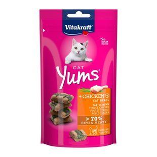 Ласощі для котів Vitakraft Yums подушечки з куркою та котячою м&rsquo;ятою 40 г 31531V_pause***** фото