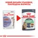 Упаковка вологого корму для дорослих котів ROYAL CANIN DIGEST SENSITIVE 85 г x 12 шт.