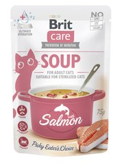 Суп для котів Brit Care Soup with Salmon з лососем 75 г, 75 г