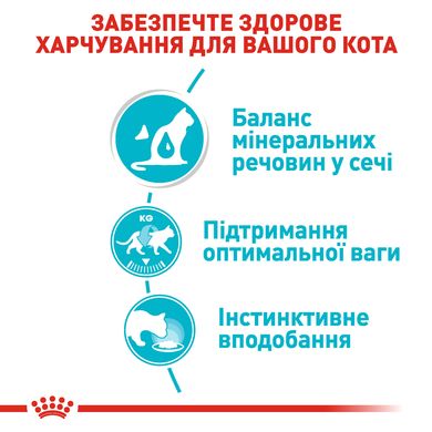 Упаковка вологого корму для дорослих котів ROYAL CANIN URINARY CARE 85 г x 12 шт.