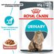 Упаковка вологого корму для дорослих котів ROYAL CANIN URINARY CARE 85 г x 12 шт.