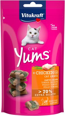 Ласощі для котів Vitakraft Yums Курка та котяча м'ята, 40 г