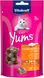 Ласощі для котів Vitakraft Yums Курка та котяча м'ята, 40 г