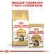 Сухий корм для котів Royal Canin MAINECOON ADULT 2 кг 2550020 фото 3