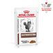 Вологий дієтичний корм для котів Royal Canin Gastrointestinal шматочки у соусі, 85 г &times; 12 шт 40390011 фото 2