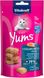 Ласощі для котів Vitakraft Yums Лосось та Омега 3, 40 г