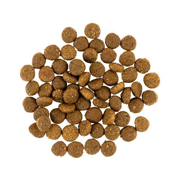 Сухий корм для собак Savory холістик Puppy для цуценят усіх порід, Індичка та Курка, 3 кг 30280 фото