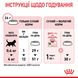 Сухий корм для кошенят ROYAL CANIN KITTEN 0.4 кг