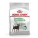 Сухий корм для собак Royal Canin MINI DIGESTIVE CARE 3 кг 2447030 фото 1