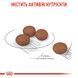 Сухий корм для собак Royal Canin MINI DIGESTIVE CARE 3 кг 2447030 фото 4