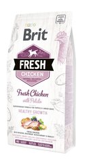 Сухий корм Brit Fresh для цуценят та молодих собак всіх порід, з куркою та картоплею, 2,5 кг, 2,5 кг