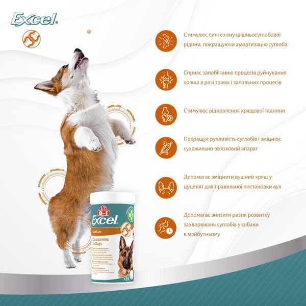 Вітаміни для собак 8in1 Excel Glucosamine, хондропротектор для суглобів, 110 таб 661828 фото