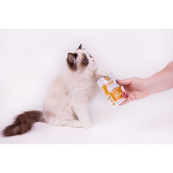 Вологий корм для котів Brit Care Набір вологих беззернових супів Cat Soup Duck, Качка, 15 шт х 75 г 101056_набір фото