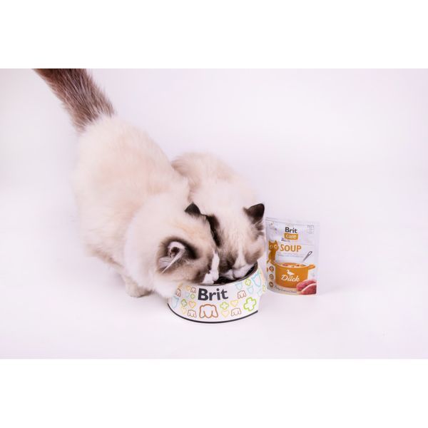 Вологий корм для котів Brit Care Набір вологих беззернових супів Cat Soup Duck, Качка, 15 шт х 75 г 101056_набір фото