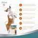 Вітаміни для собак 8in1 Excel Glucosamine, хондропротектор для суглобів, 110 таб 661828 фото 9