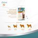 Вітаміни для собак 8in1 Excel Glucosamine, хондропротектор для суглобів, 110 таб 661828 фото 3