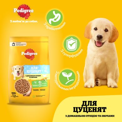 Сухий корм для цуценят PEDIGREE з птахом та овощами 500 г (5998749145272)