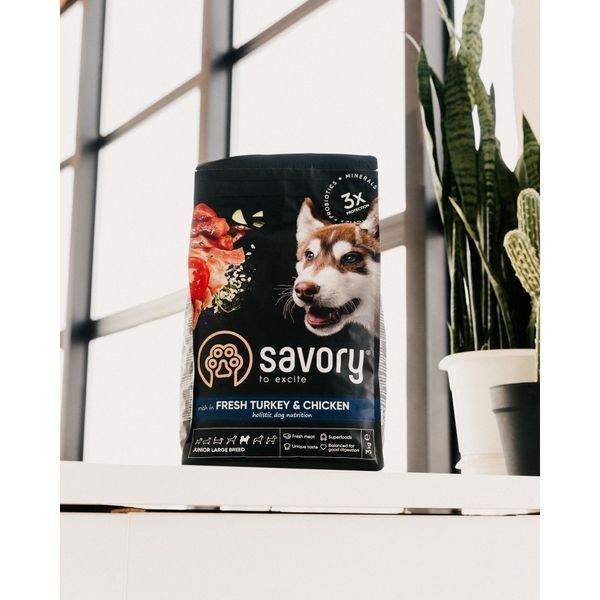Сухий холістик корм для цуценят великих порід Savory Junior Large Fresh Turkey & Chicken з індичкою та куркою 3 кг 30204 фото