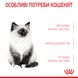 Сухий корм для кошенят ROYAL CANIN KITTEN 4 кг