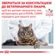 Упаковка вологого корму для дорослих котів ROYAL CANIN URINARY S/O CAT pouches 85 г x 12 шт.