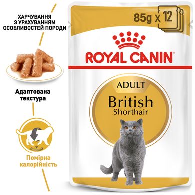 Упаковка вологого корму для дорослих котів ROYAL CANIN BRITISH SHORTHAIR ADULT 85 г x 12 шт.