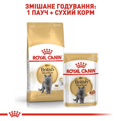 Упаковка вологого корму для дорослих котів ROYAL CANIN BRITISH SHORTHAIR ADULT 85 г x 12 шт.