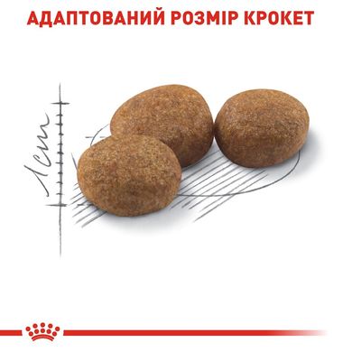 Сухий корм для дорослих стерилізованих котів ROYAL CANIN STERILISED 10 кг